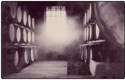 A view inside the barrel storage area at Ardbeg Whisky Distillery