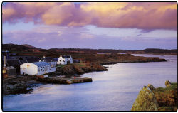 The beautiful veiw around the Ardbeg Distillery