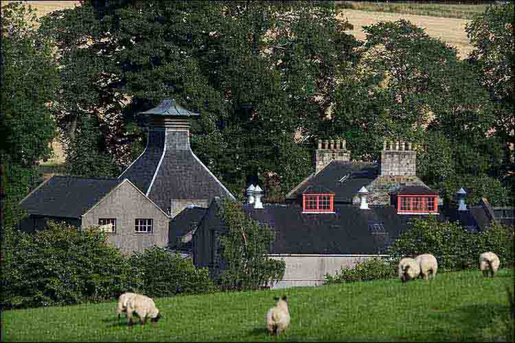 GlenDronach Whisky Distillery