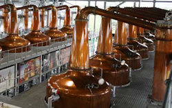 The whisky stills at Roseisle Scotch Whisky Distillery