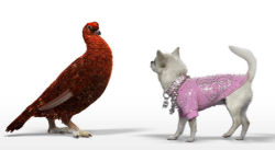 Famous Grouse new tv advert