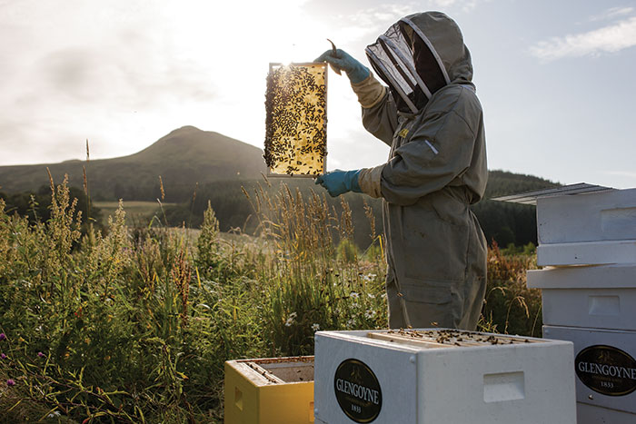 Glengoyne Distillery Bees