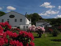 Glengoyne Distillery celebrates a summer of success - Press release date  28th September, 2009