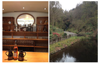 Glengoyne Stream