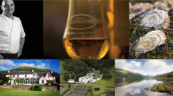 Glengoyne Single Highland Malt Whisky
