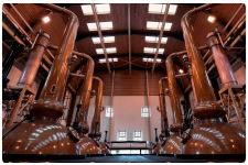 The tallest whiskies still in Scotland