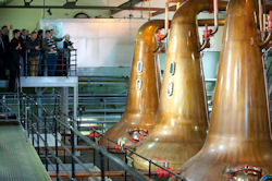 Spirit of Speyside Whisky School