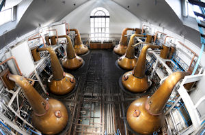 Photo of the stills at Tormore Distillery